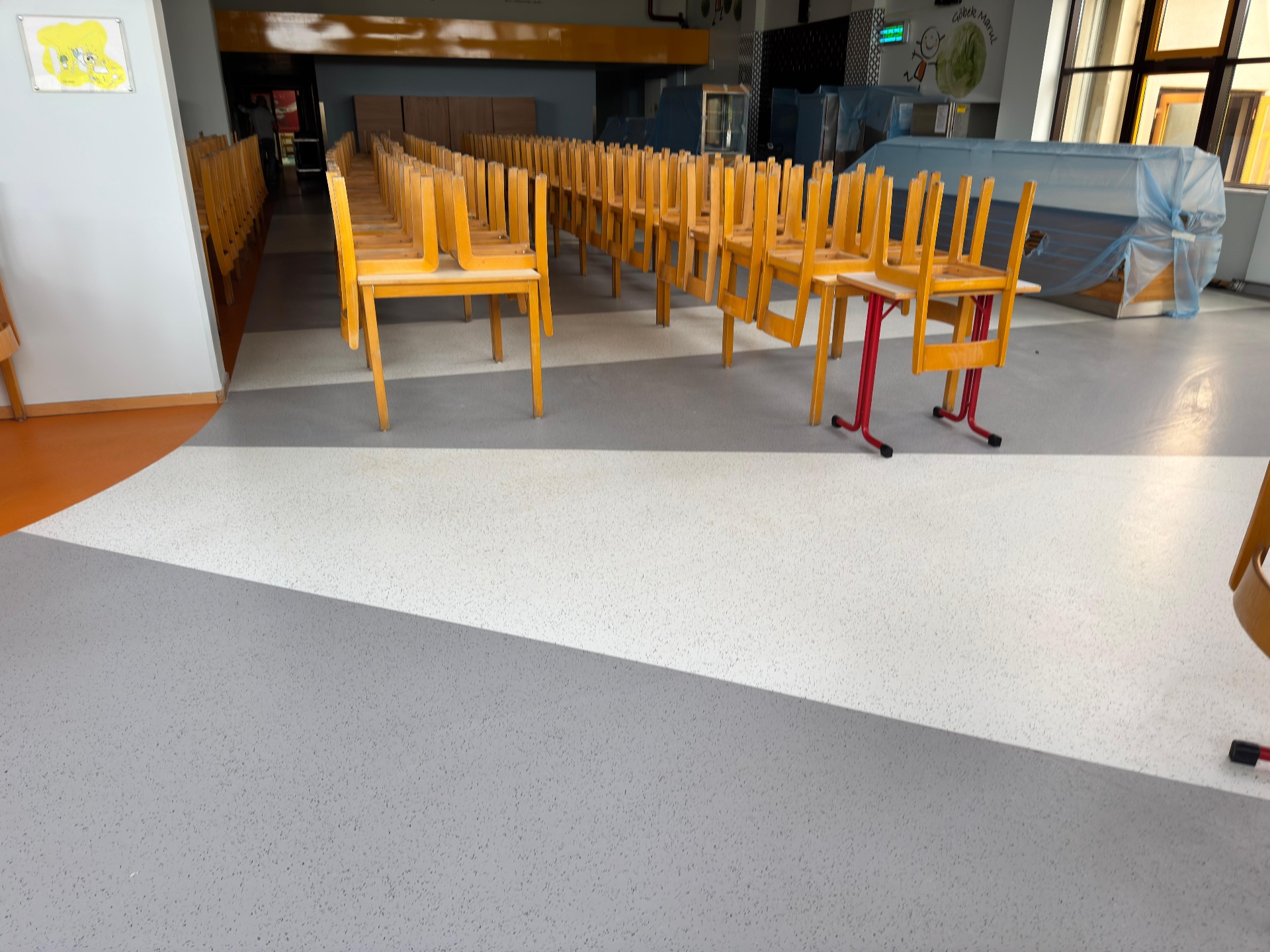 Okul Çok Amaçlı Salon — Desenli PVC